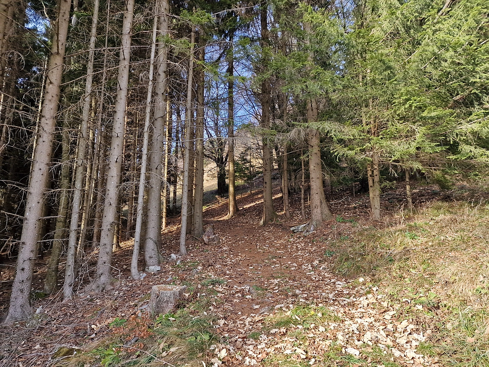 Razbor - Čemšeniška planina, 13. 12. 2025