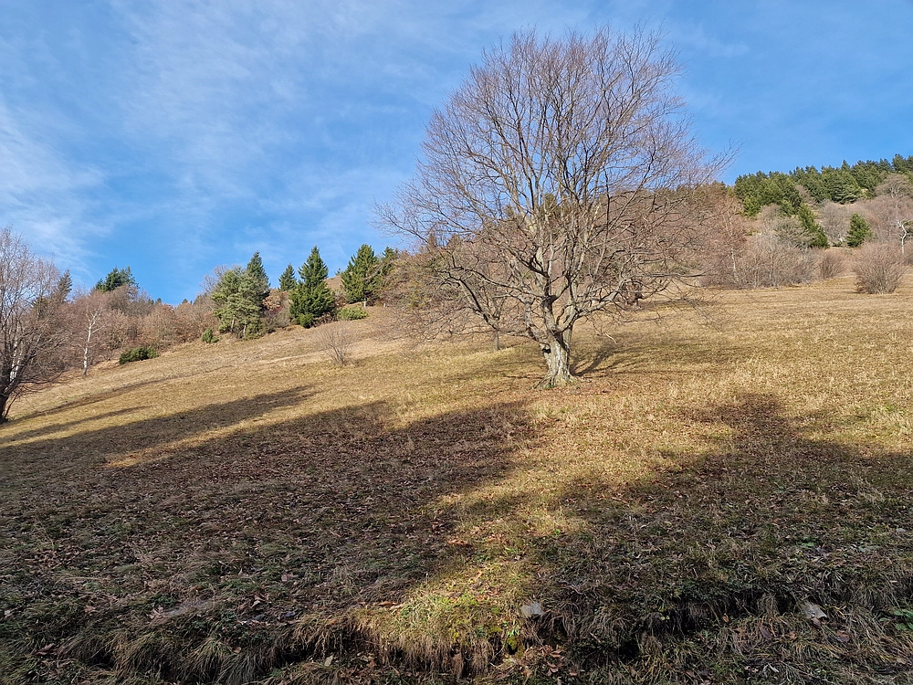 Razbor - Čemšeniška planina, 13. 12. 2025