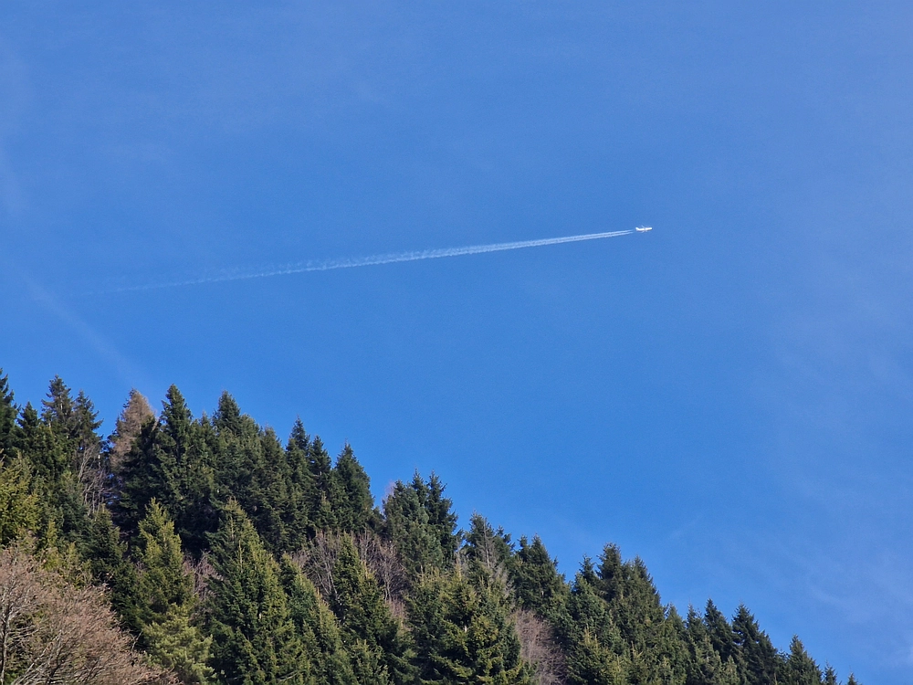 Razbor - Čemšeniška planina, 13. 12. 2025