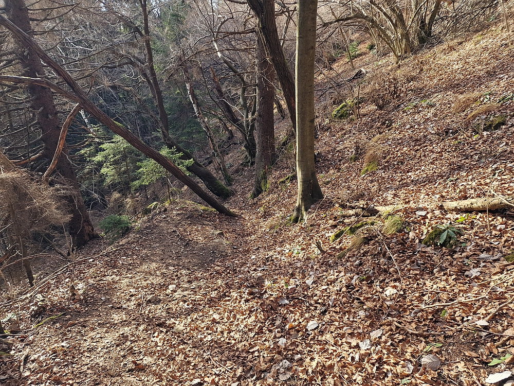 Razbor - Čemšeniška planina, 13. 12. 2025