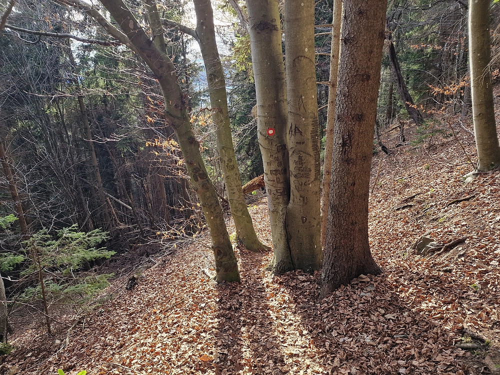 Razbor - Čemšeniška planina, 13. 12. 2025