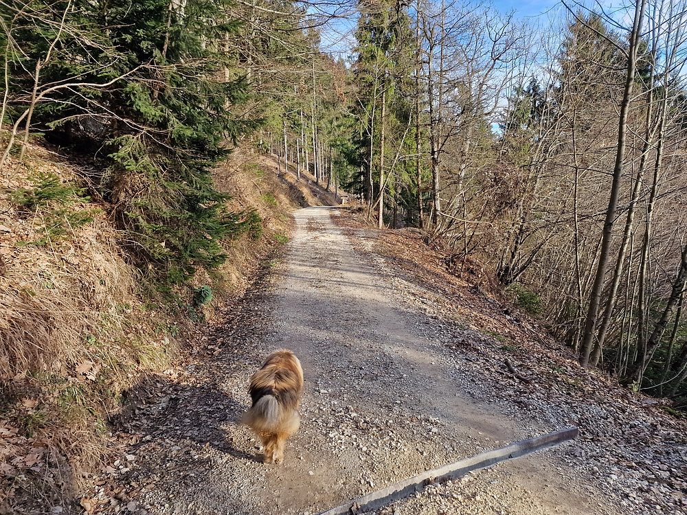 Razbor - Čemšeniška planina, 13. 12. 2025