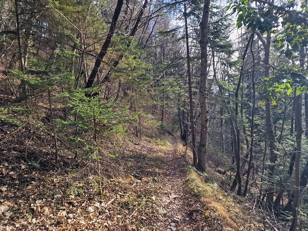 Razbor - Čemšeniška planina, 13. 12. 2025