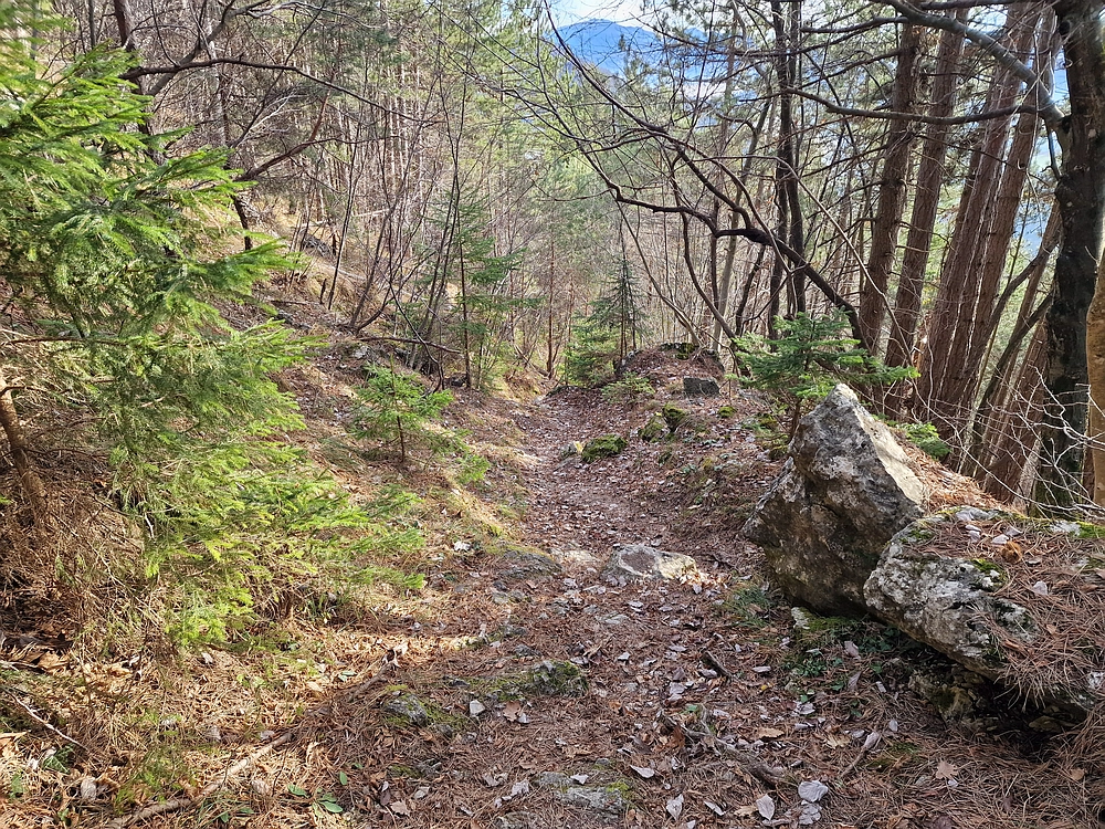 Razbor - Čemšeniška planina, 13. 12. 2025