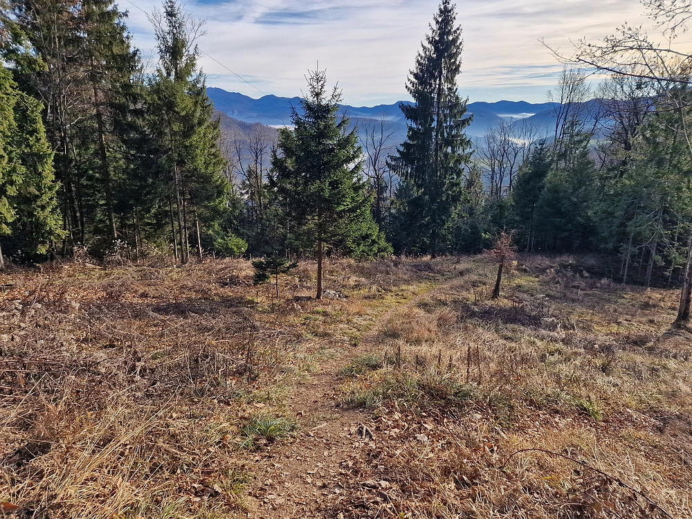 Razbor - Čemšeniška planina, 13. 12. 2025
