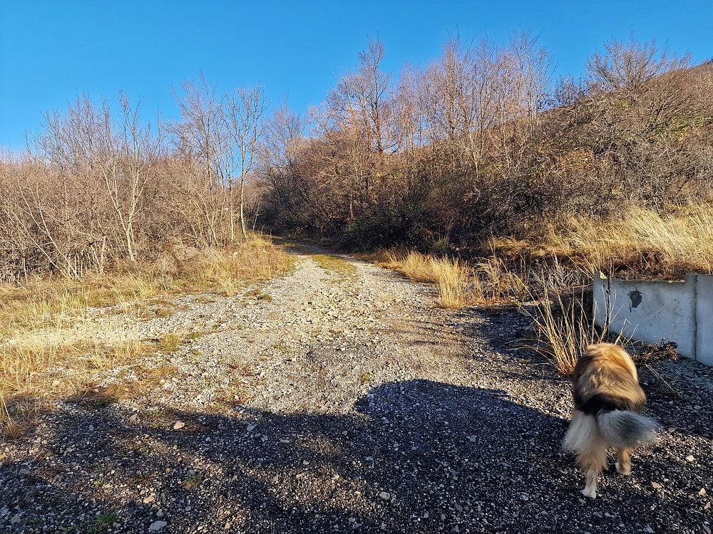 Slavnik, 20. 12. 2025