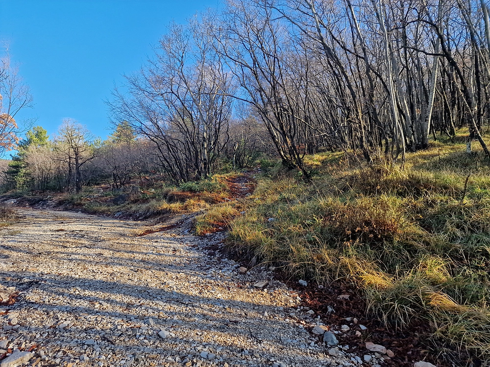 Slavnik, 20. 12. 2025