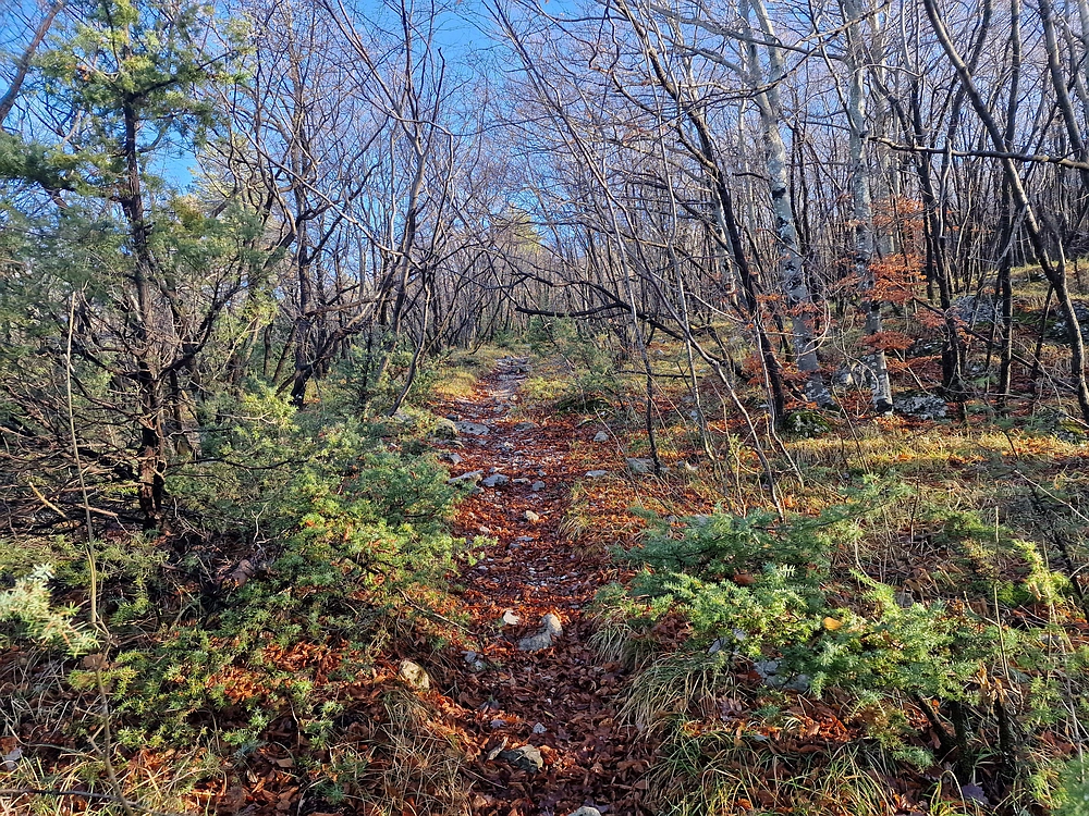 Slavnik, 20. 12. 2025