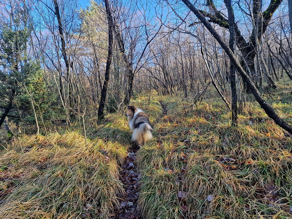 Slavnik, 20. 12. 2025