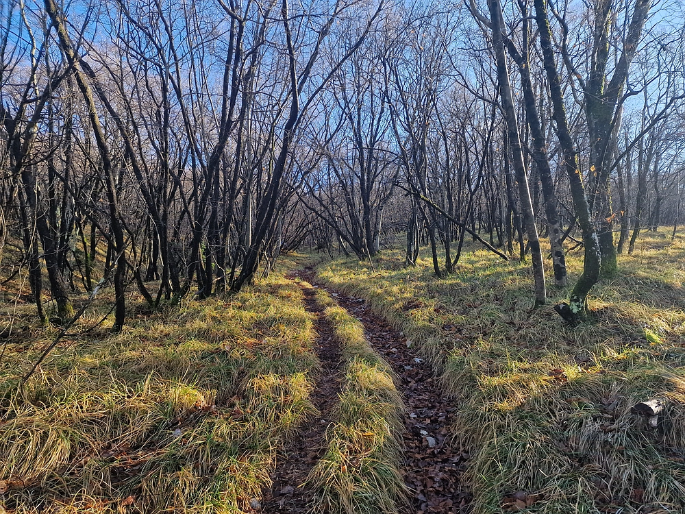 Slavnik, 20. 12. 2025