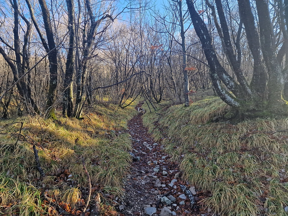 Slavnik, 20. 12. 2025