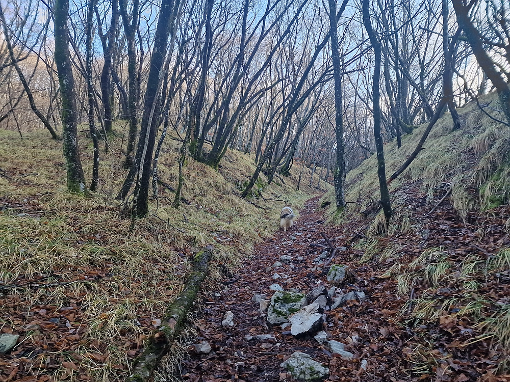 Slavnik, 20. 12. 2025