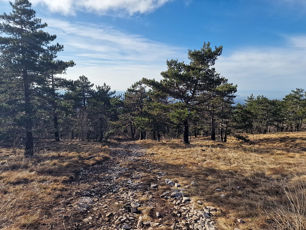 Slavnik, 20. 12. 2025