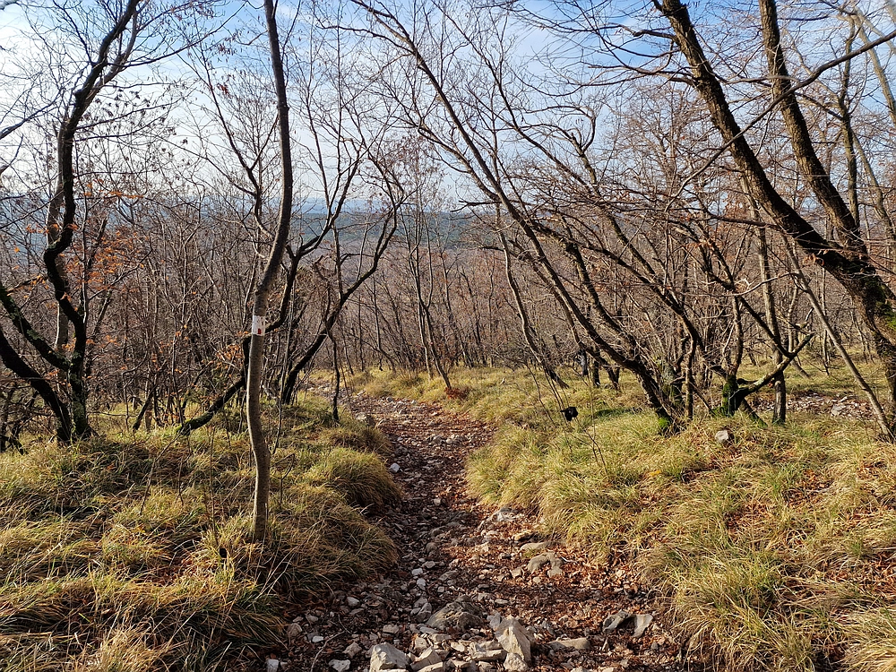 Slavnik, 20. 12. 2025