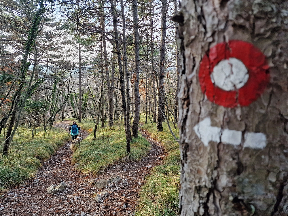 Slavnik, 20. 12. 2025