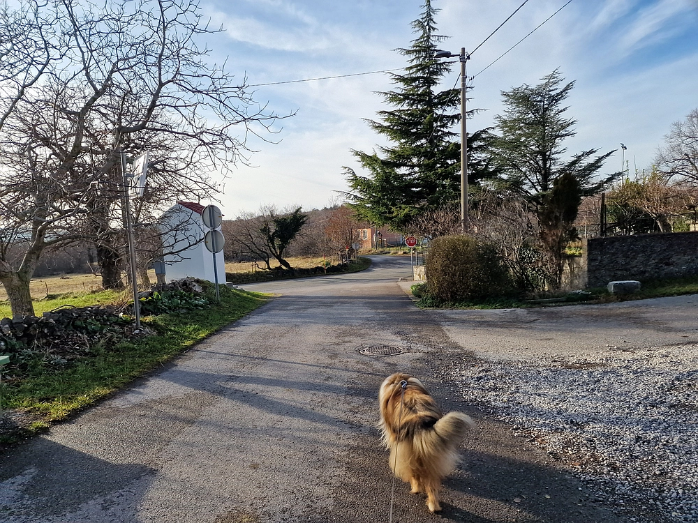 Slavnik, 20. 12. 2025