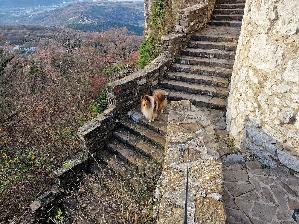 Slavnik, 20. 12. 2025