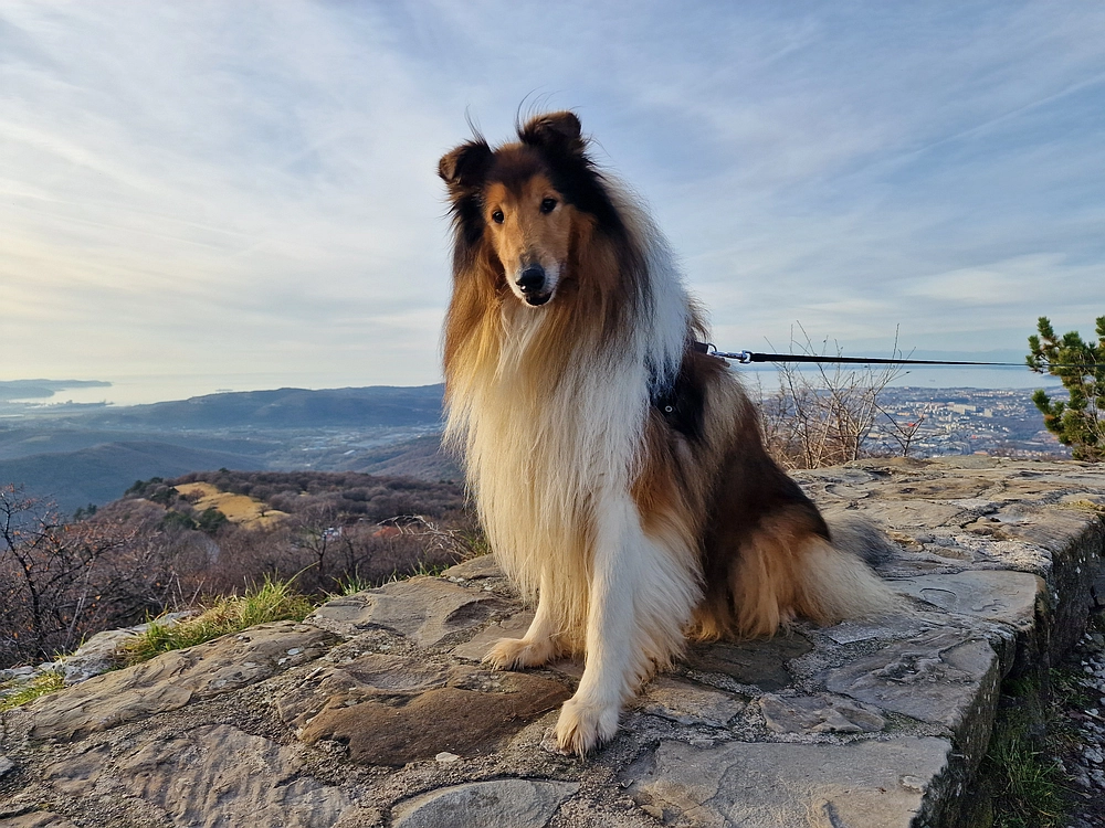 Slavnik, 20. 12. 2025