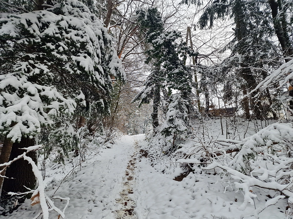 Mrzlica čez Zg. Čeče, 26. 12. 2025