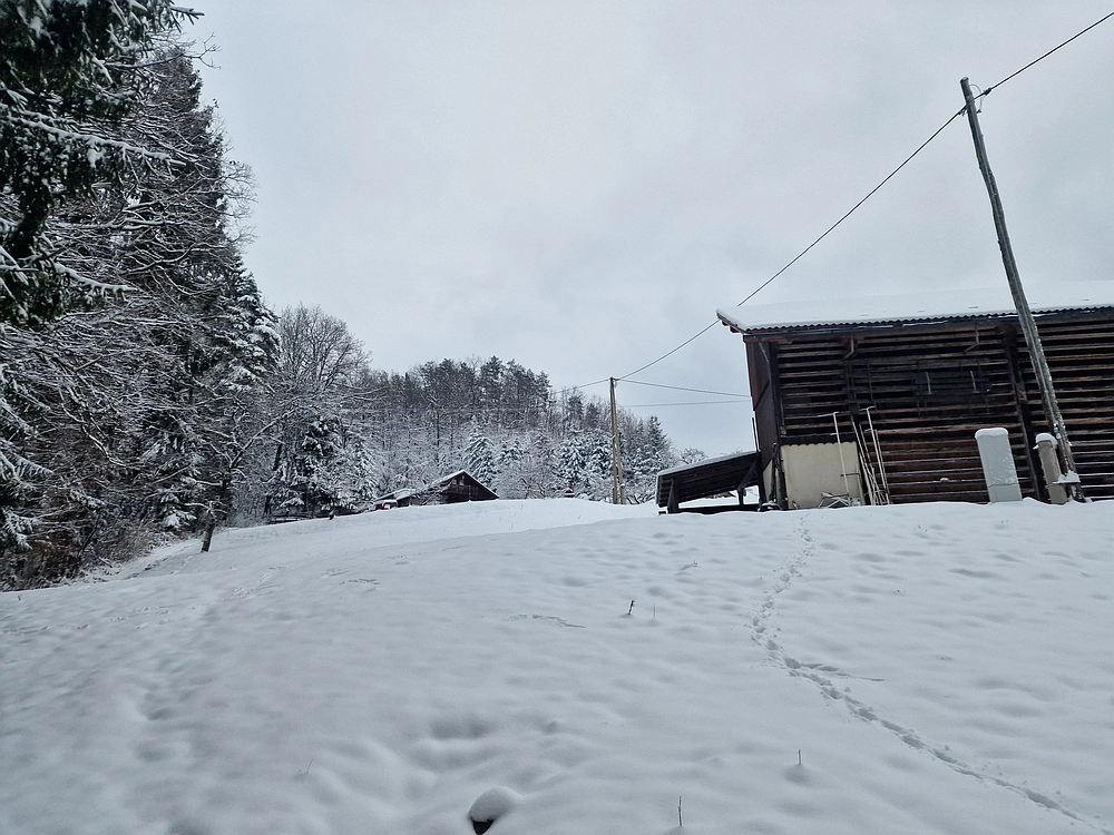 Mrzlica čez Zg. Čeče, 26. 12. 2025