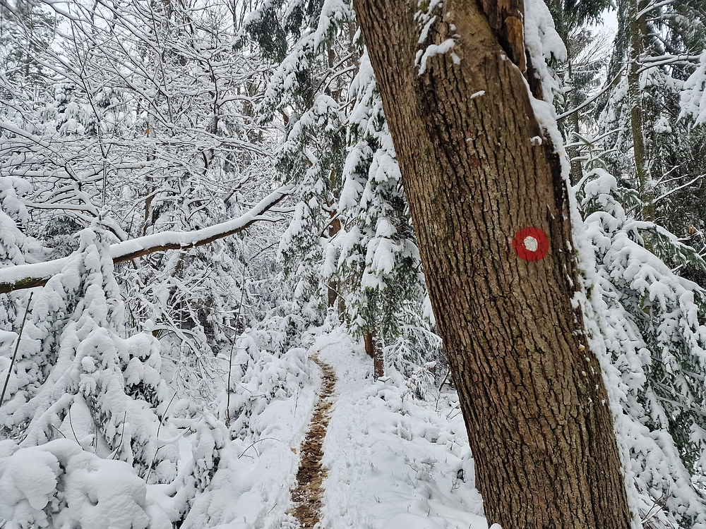 Mrzlica čez Zg. Čeče, 26. 12. 2025