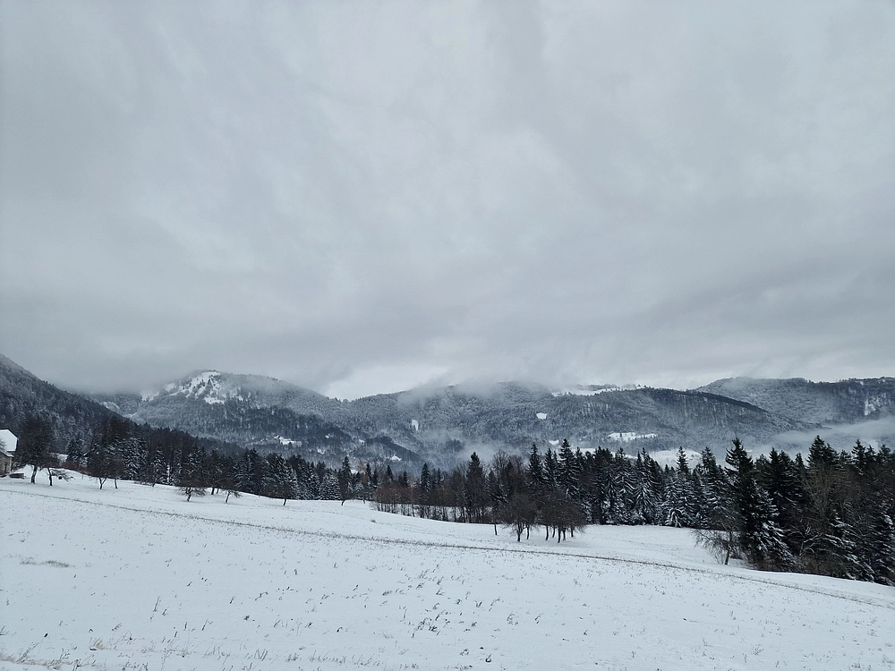 Mrzlica čez Zg. Čeče, 26. 12. 2025