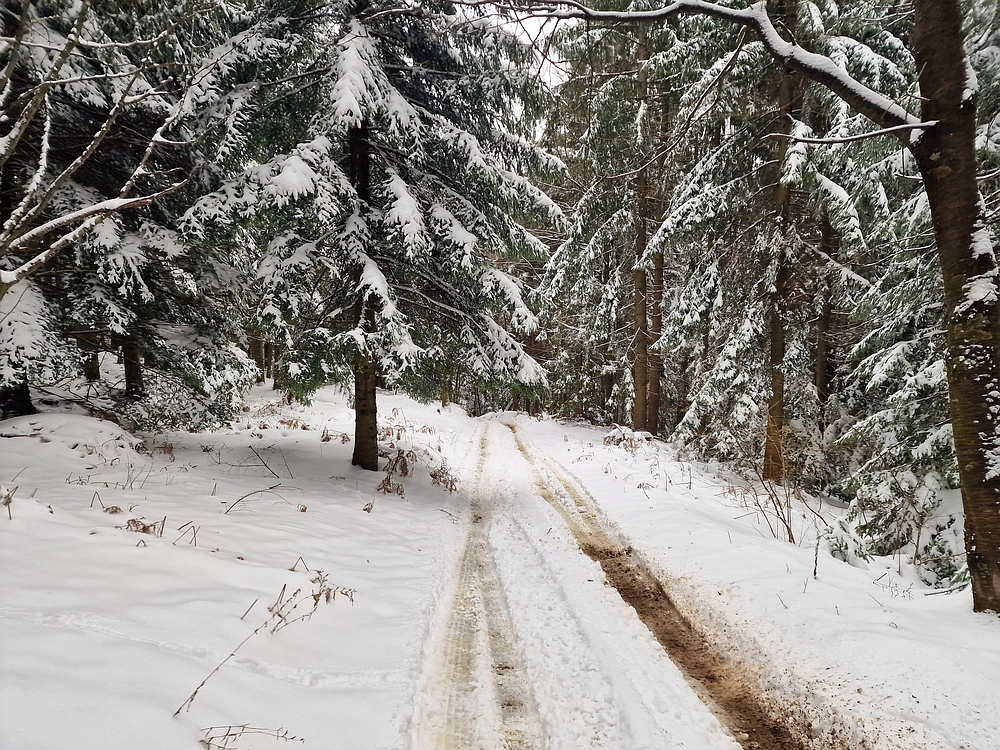 Mrzlica čez Zg. Čeče, 26. 12. 2025