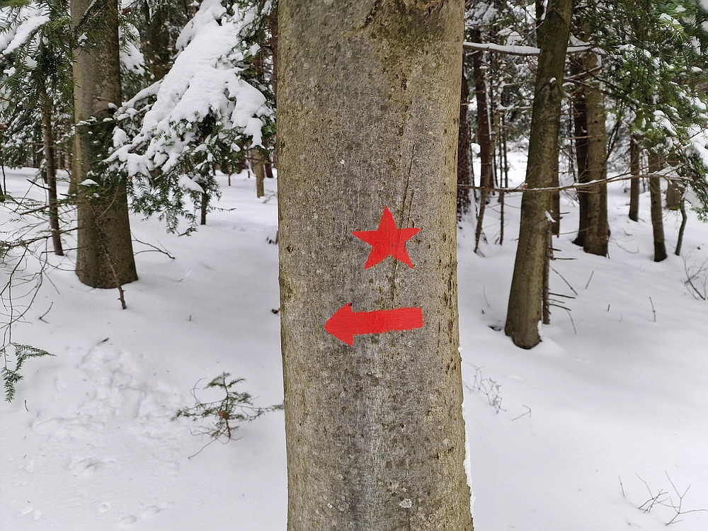 Mrzlica čez Zg. Čeče, 26. 12. 2025