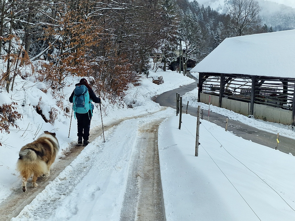 Mrzlica čez Zg. Čeče, 26. 12. 2025