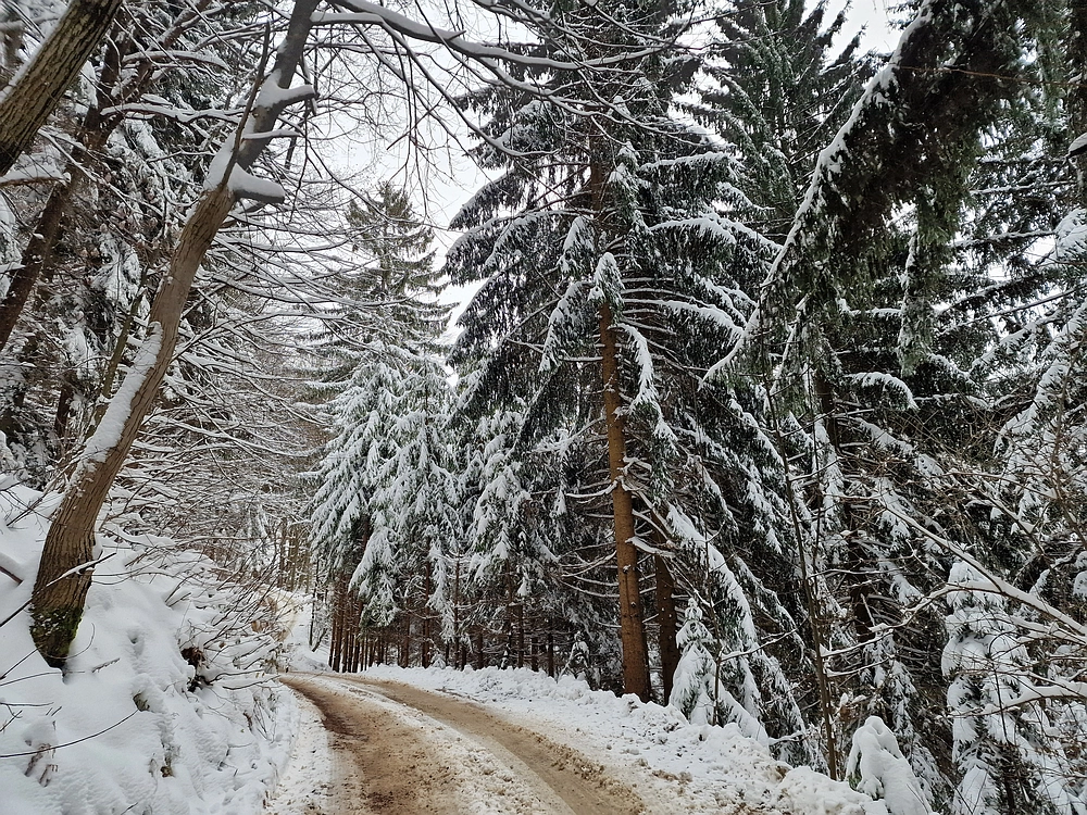 Mrzlica čez Zg. Čeče, 26. 12. 2025