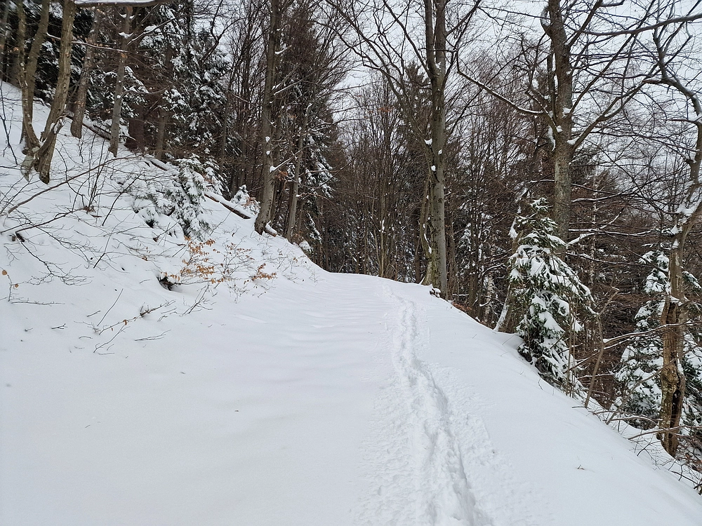 Mrzlica čez Zg. Čeče, 26. 12. 2025