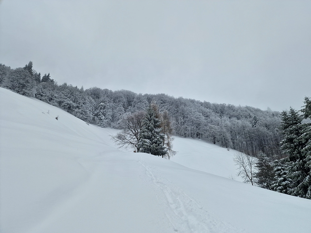 Mrzlica čez Zg. Čeče, 26. 12. 2025