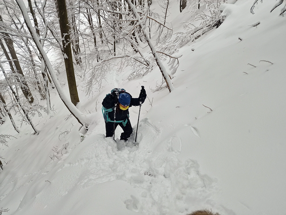 Mrzlica čez Zg. Čeče, 26. 12. 2025
