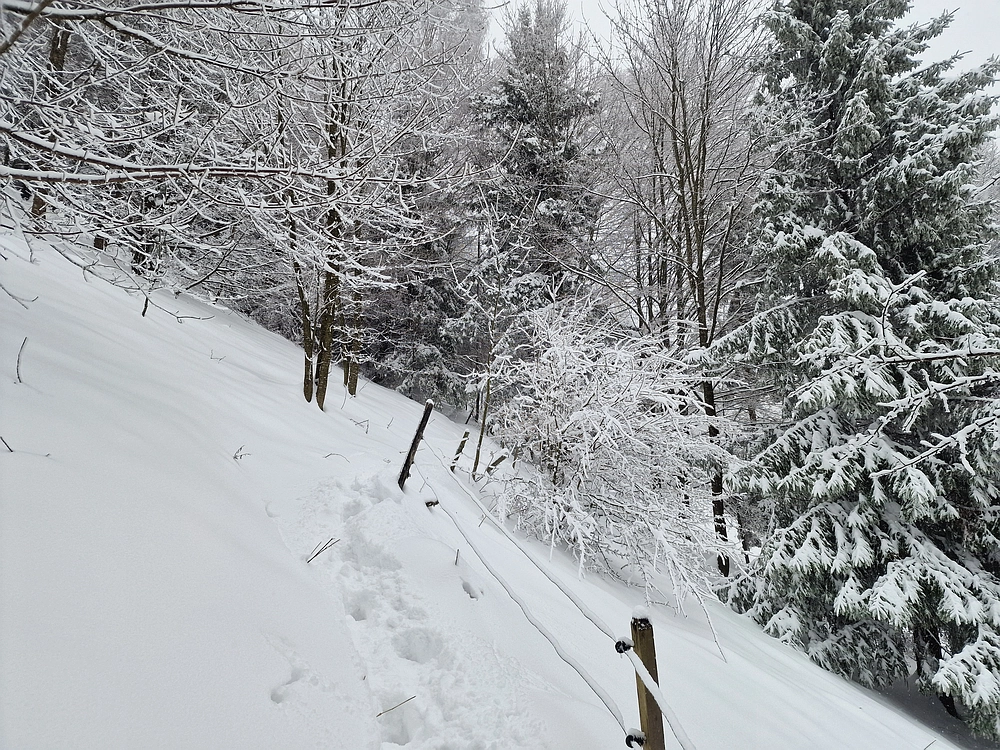 Mrzlica čez Zg. Čeče, 26. 12. 2025