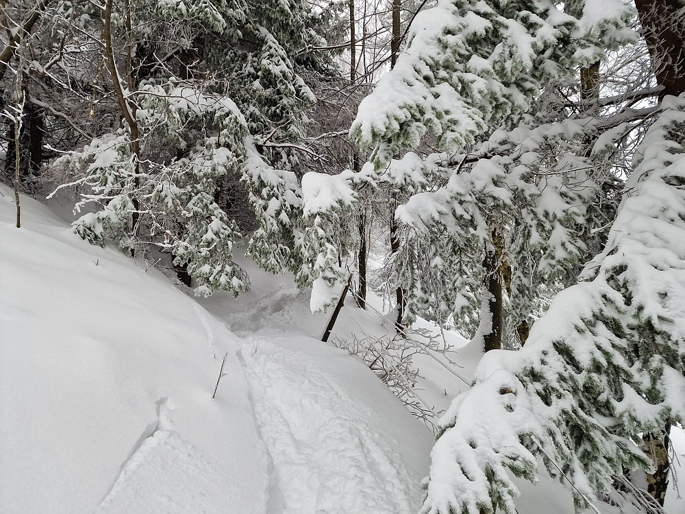 Mrzlica čez Zg. Čeče, 26. 12. 2025