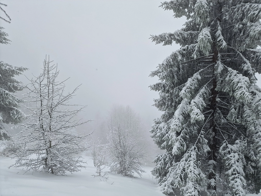 Mrzlica čez Zg. Čeče, 26. 12. 2025