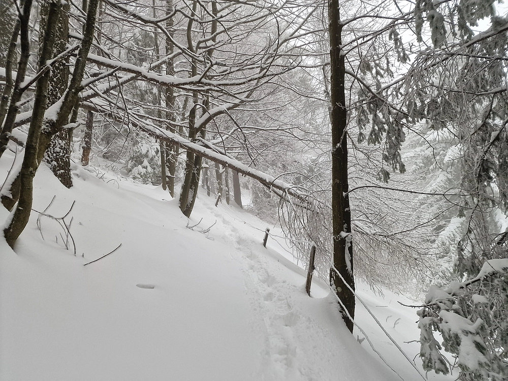 Mrzlica čez Zg. Čeče, 26. 12. 2025