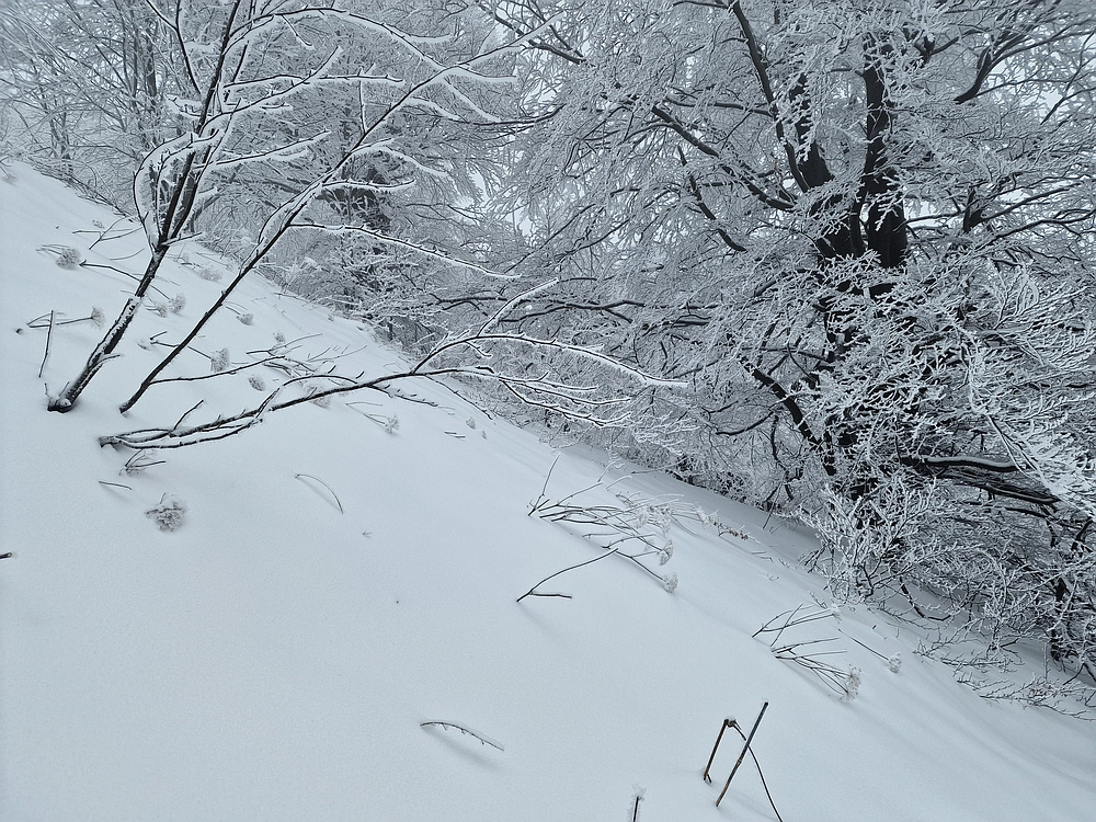 Mrzlica čez Zg. Čeče, 26. 12. 2025