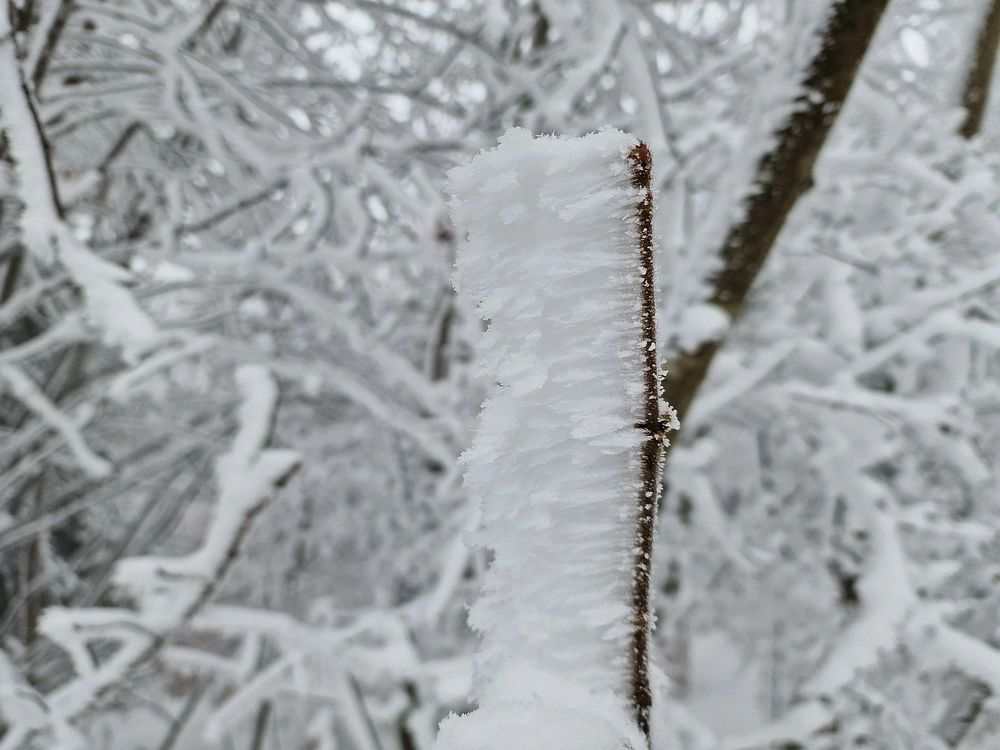 Mrzlica čez Zg. Čeče, 26. 12. 2025