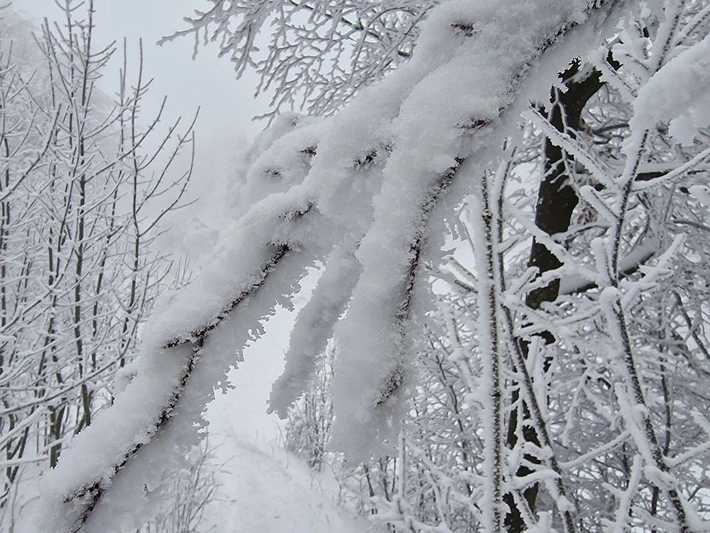 Mrzlica čez Zg. Čeče, 26. 12. 2025