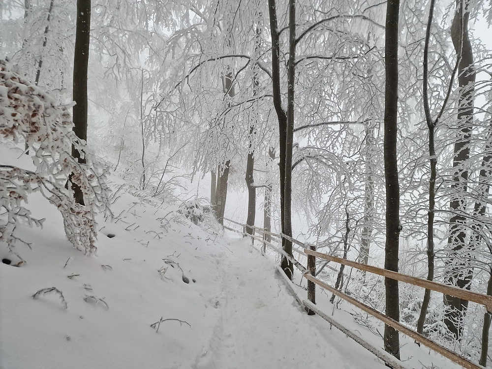 Mrzlica čez Zg. Čeče, 26. 12. 2025