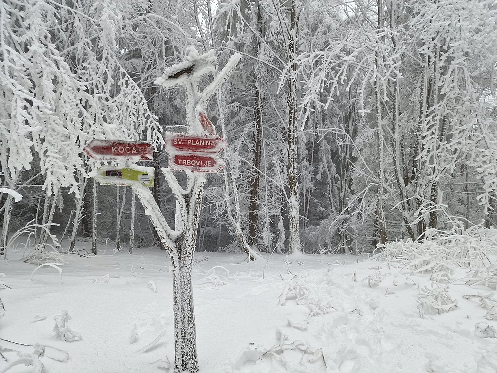 Mrzlica čez Zg. Čeče, 26. 12. 2025