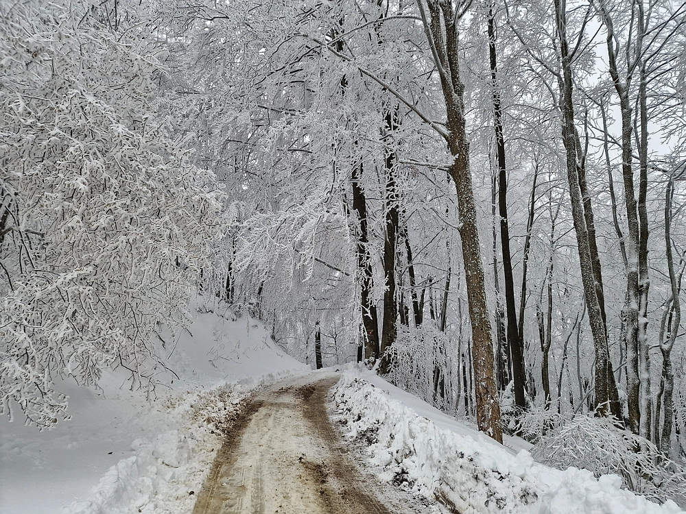 Mrzlica čez Zg. Čeče, 26. 12. 2025