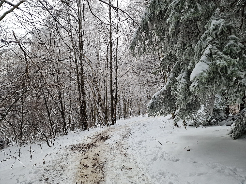 Mrzlica čez Zg. Čeče, 26. 12. 2025