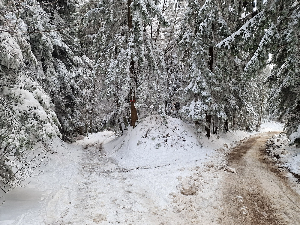 Mrzlica čez Zg. Čeče, 26. 12. 2025