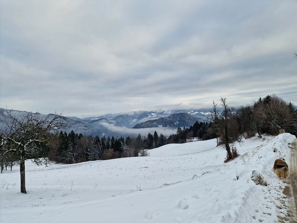 Mrzlica čez Zg. Čeče, 26. 12. 2025