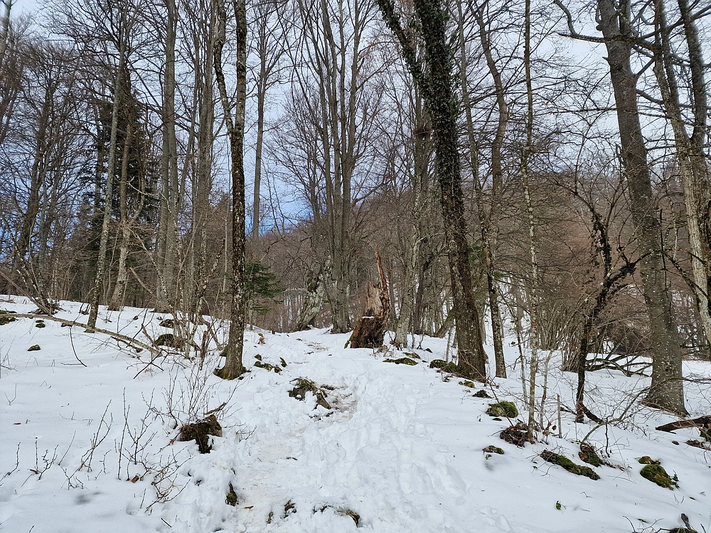 Kum z Malega Kuma, 28. 12. 2025