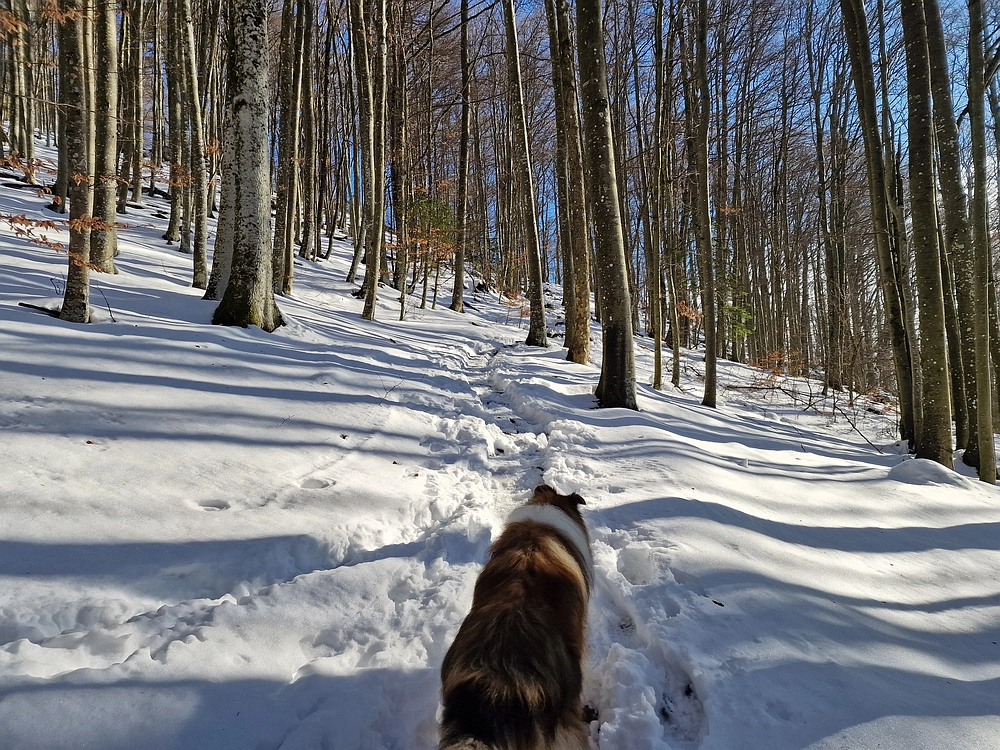 Kum z Malega Kuma, 28. 12. 2025