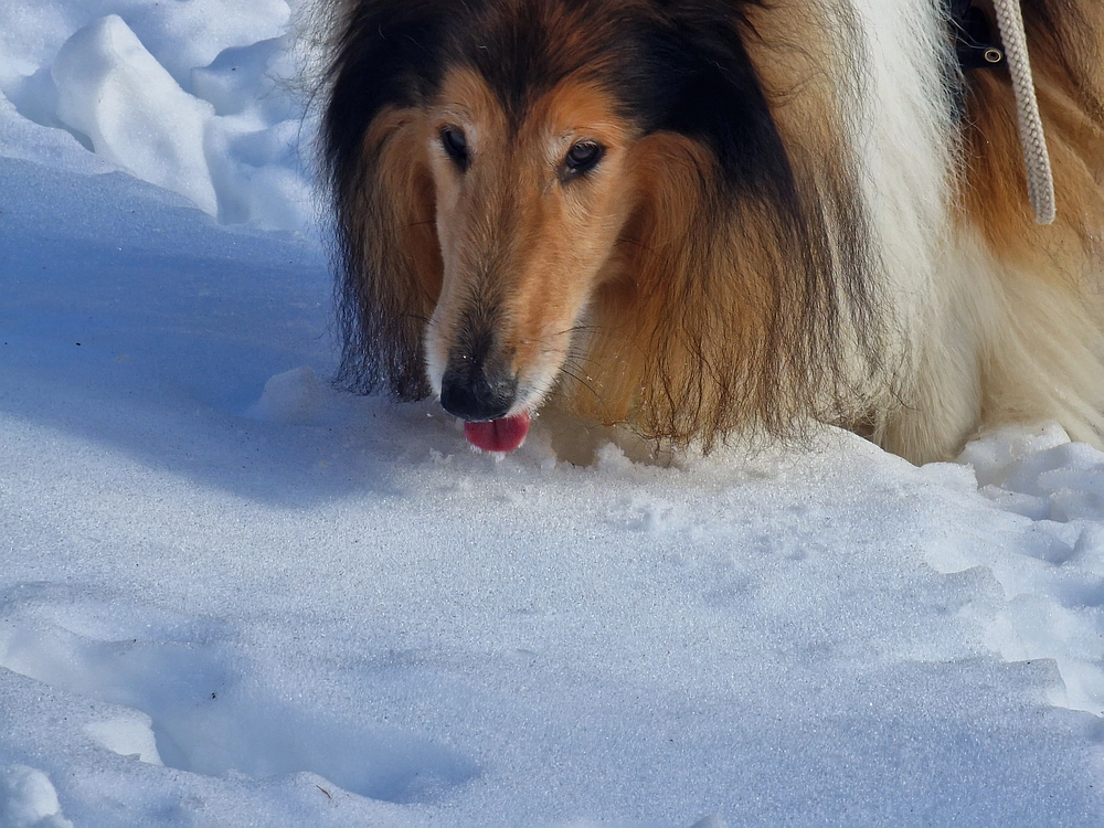 Kum z Malega Kuma, 28. 12. 2025