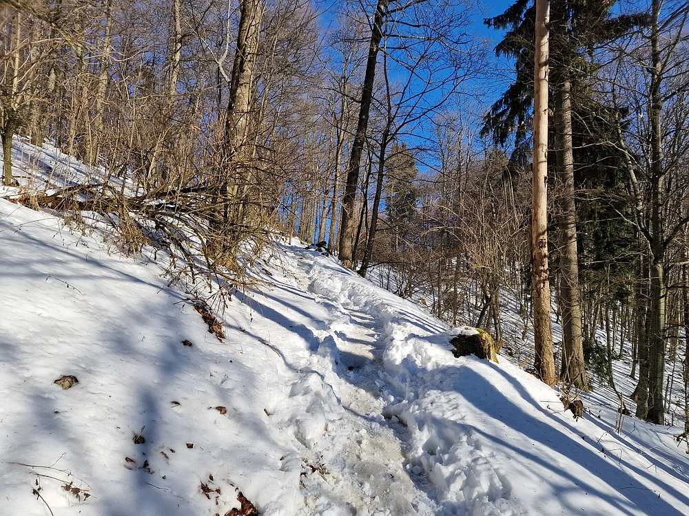 Kum z Malega Kuma, 28. 12. 2025